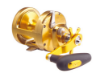 Picture of TICA SEA WAVE WITH CLICKER GOLD